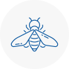 Bee Nest Removal Wokingham