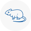 Rat Control Wokingham