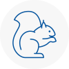 Wokingham Rodent Removals